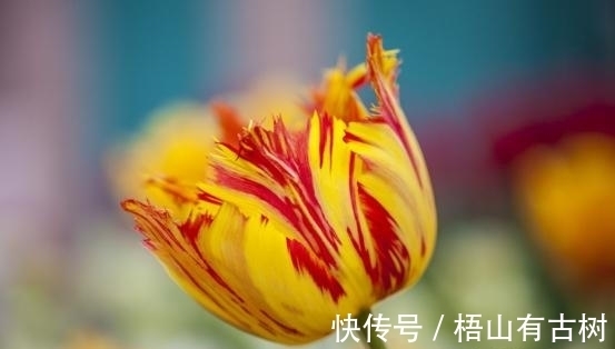 对方|2周后,繁华落幕,爱已成殇,心灰意冷,果断转身,余生两不相欠