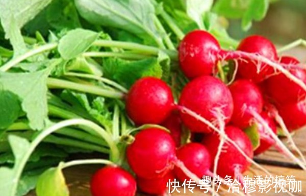 护肤|秋天到了,适合常吃4种食物,消除炎症,美容护肤,好处多多