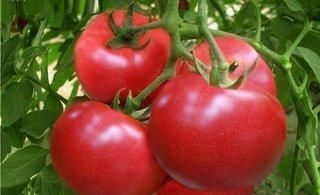 西红柿汁|一个西红柿就能解决的事,你竟然花了那么多冤枉钱!