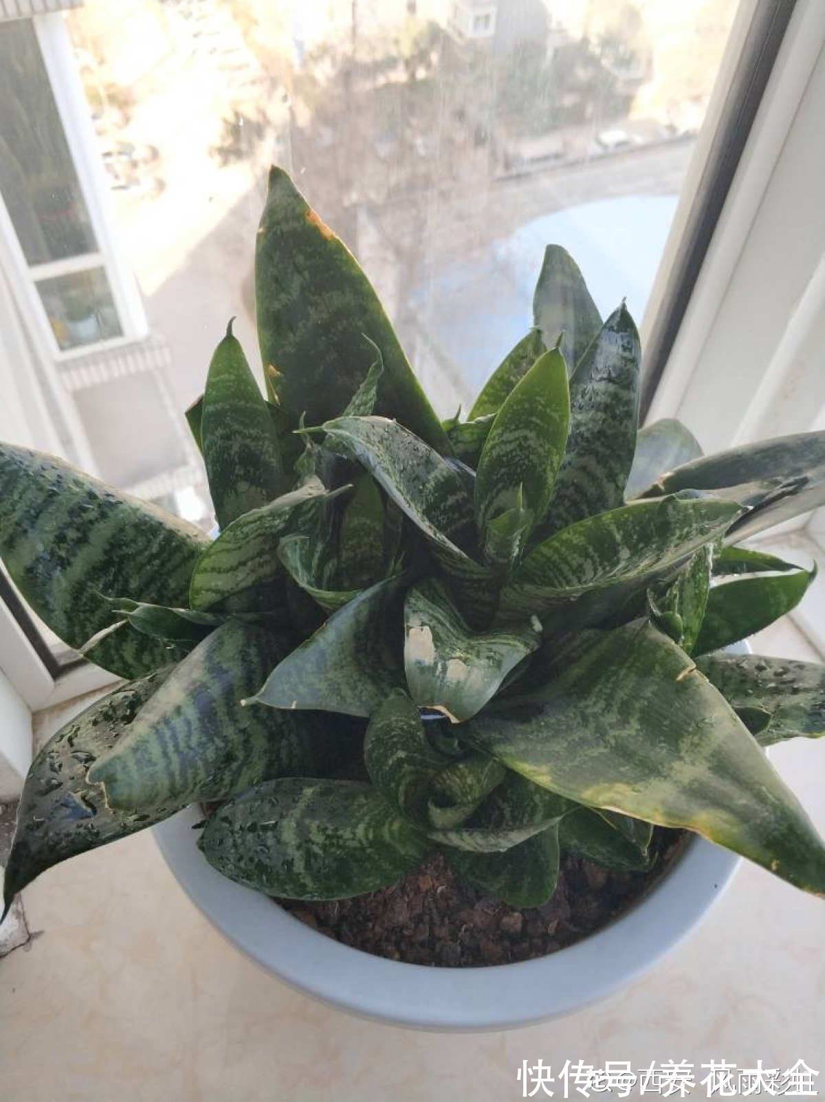 今年下半年起,农村严查3种“小生意”,严重的会被直接判刑