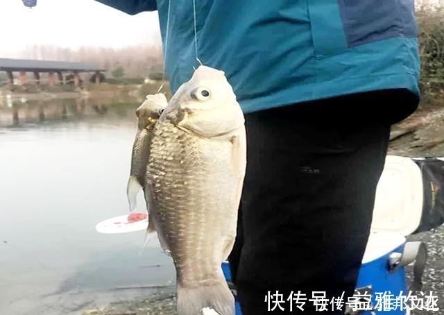 黑坑|曾跟我说:钓鱼不花钱的那个人出来,我保证不打你!七年花10万