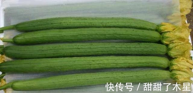 蒸丝瓜|秋季要多吃它,维C含量极高,蒸一蒸10分钟上桌,便宜鲜美又降燥!