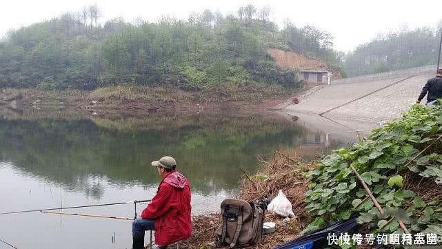 顿口|浮漂有动作，提竿却不中鱼，这种情况该如何应对