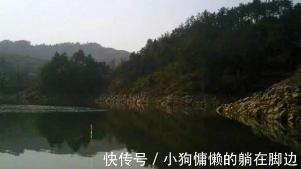 秋天鱼反而难钓不了解鱼的“套路”，鱼再多你也钓不到