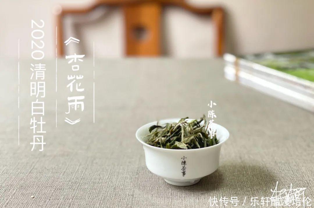 牡丹王|新的一年，白茶中的牡丹王和一级白牡丹，竟然转化得像白毫银针了