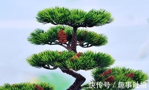 题小松!李商隐和杜荀鹤这两首诗写小松,是纯粹的咏物诗吗