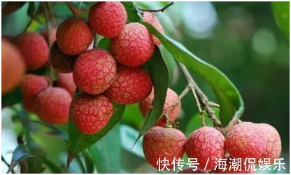 荔枝|肝脏不好怎么调理夏天多吃4种水果,养肝护肤,好吃不贵