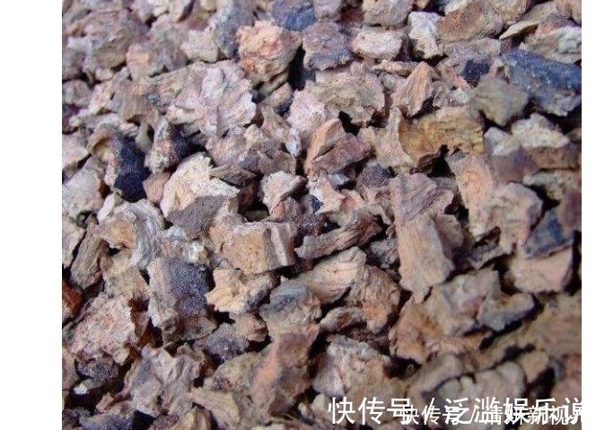 得根壮叶绿|以下东西放在花盆里，个个长得根壮叶绿爆满盆，一年不用施肥啦