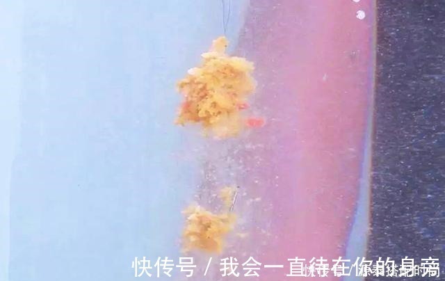 鱼钩|上饵时需要包住鱼钩吗不包住对钓鱼有没有影响困惑的看这