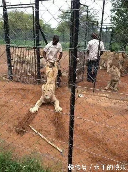 |开心一刻:吃饭不宜看,容易喷饭的搞笑图片,喜欢的请收藏