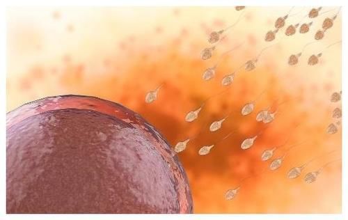 受孕|学会这5个“备孕技巧”,或许你也能很快好孕,不妨一试!