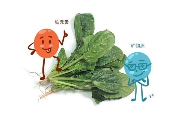 肥胖者|什么人容易招惹血栓?不瞒你说,3类人真的防备点,别给血管添乱