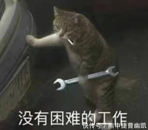 最火|B站年度最火梗“耗子尾汁”遭质疑,这些梗来偷袭,马老师没法闪