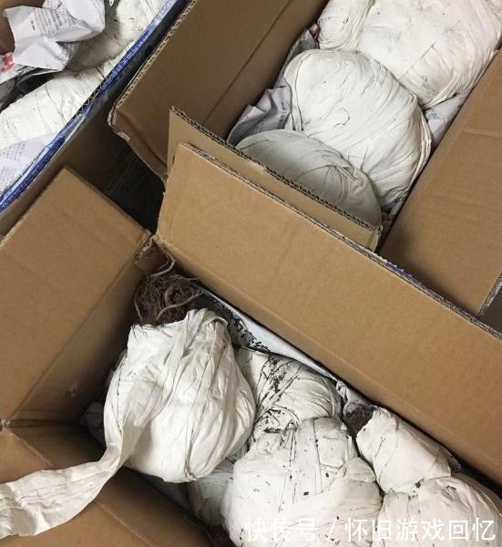 网购多肉,栽种前做好五个准备步骤,多肉妥妥地迅速服盆