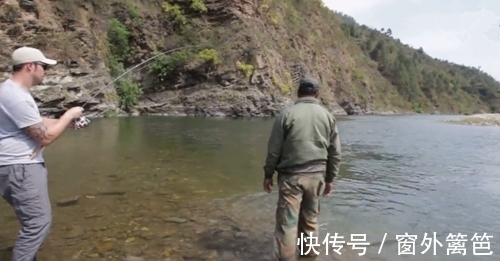 山中意外钓获大鱼,体型像草鱼但鱼鳞金灿灿的,什么鱼?