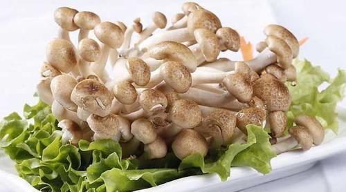 蟹味菇|吃了都说好的食物，推荐常吃，滋肾益肝，补肾壮腰，舒筋活络