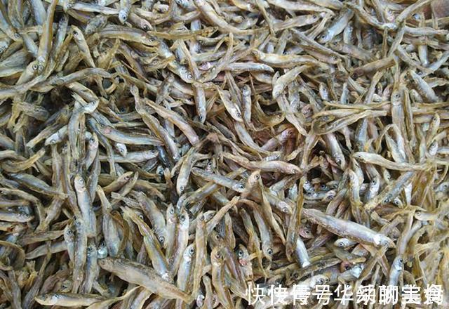 食物|“嘌呤大户”被揪出,宁愿不吃,也别碰这些食物!有你爱吃的吗?