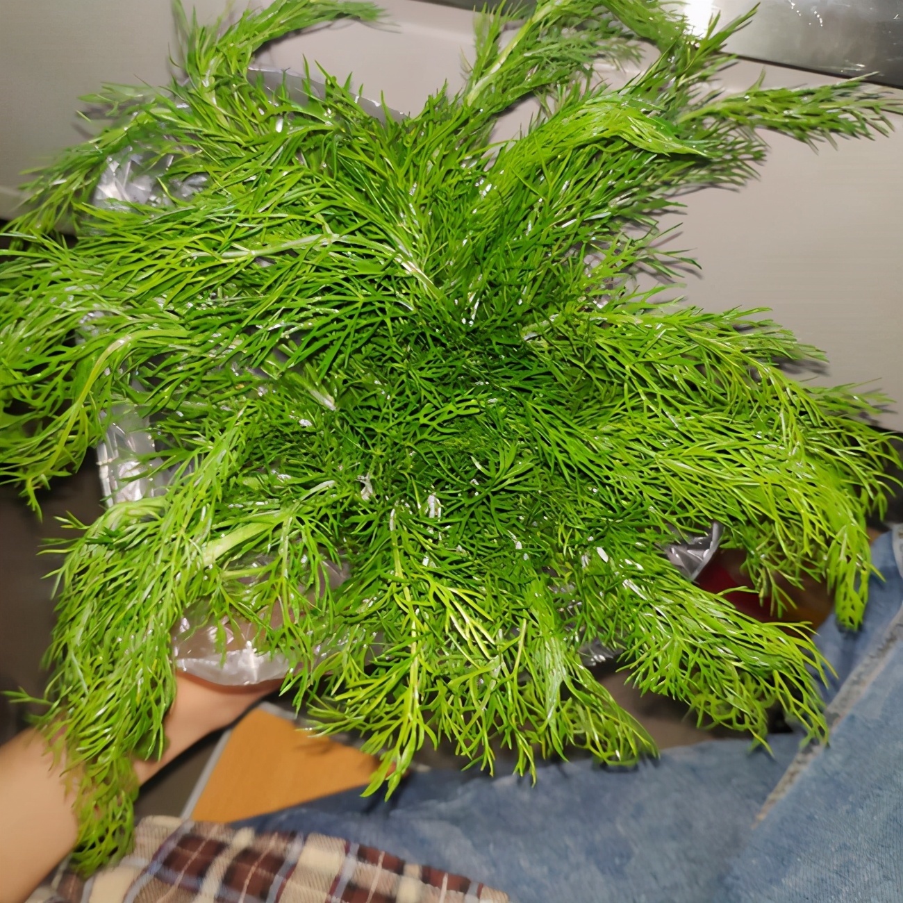 盘点5种适合家庭盆栽的蔬菜，可观赏也能食用，一举两得