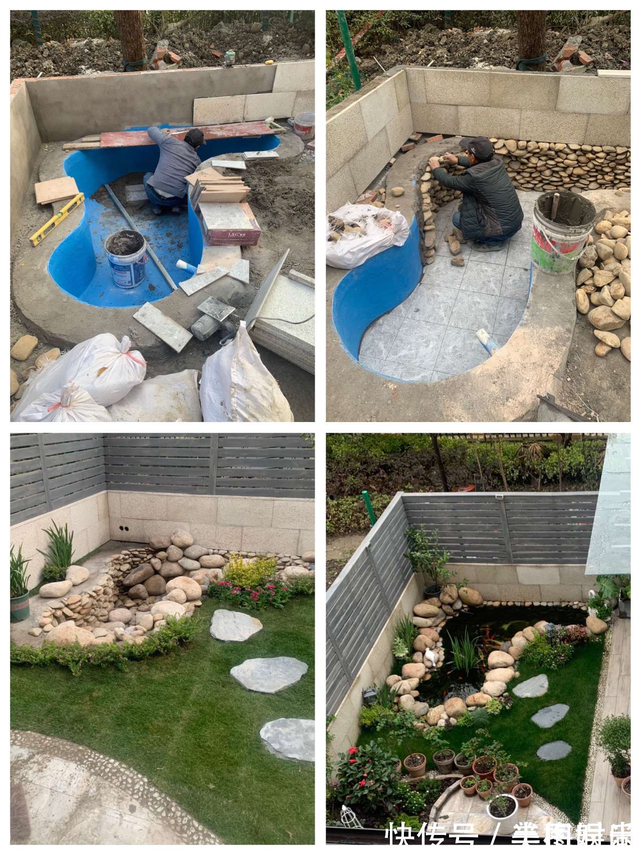 花一万元，在院子里建了个“原生态鱼池”，太漂亮了！