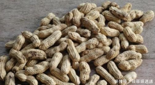 花生|熟花生和生花生哪个营养更佳?专家说出了大实话,多人表示吃错了