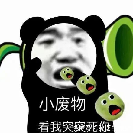 搞笑|微信搞笑表情包｜有猪！我不说是谁