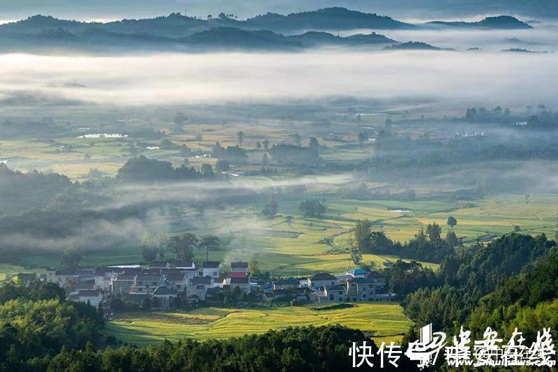 合肥|美丽安徽：胜日寻芳景 皖山皖水情