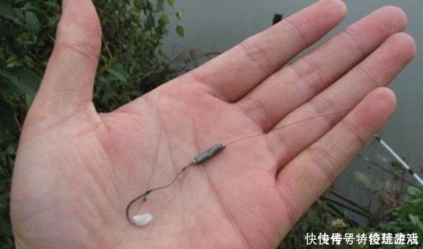 鲫鱼|野钓万能饵料,小鱼不闹窝只把大鱼钓!