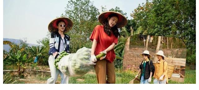 《向往6》官宣：原班人馬回歸，可我心中的向往，已經(jīng)回不去了