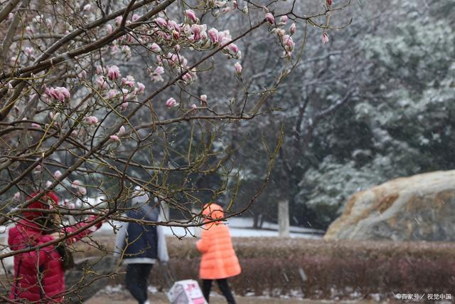 韦成柏$时逢小雪北风忽，旷野空山草萎枯。《小雪》诗词63首