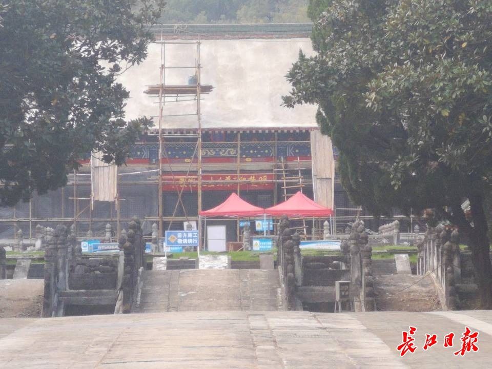 国家级#博士留言板上建议筹建明楚王墓国家级考古遗址公园，市文旅局邀他现场一探究竟