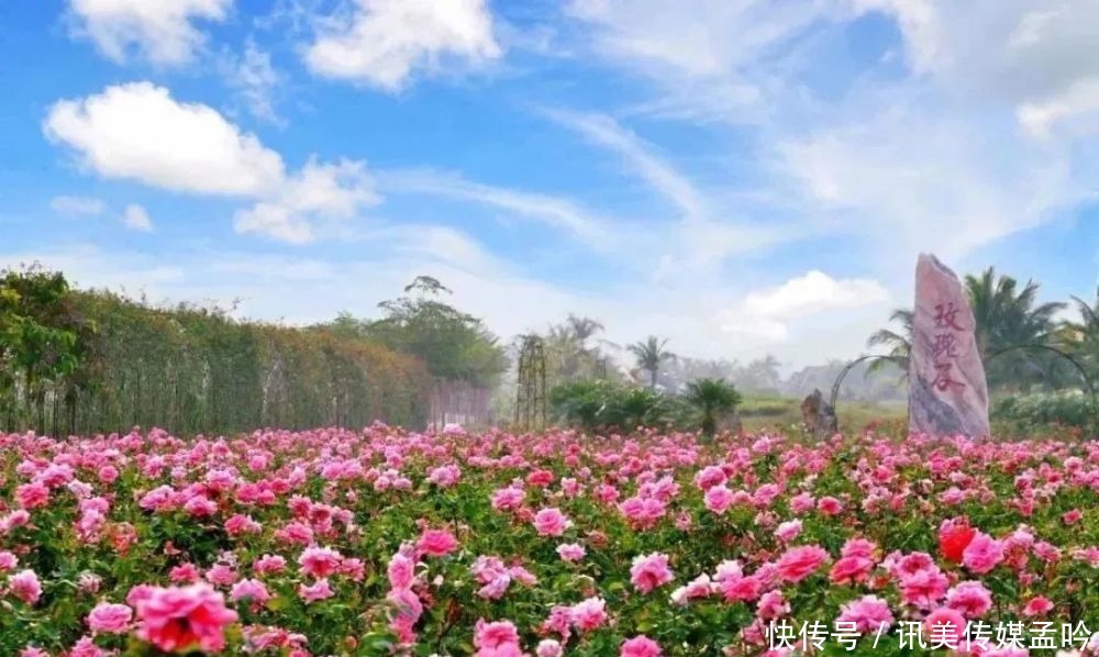 春雨到来，百花盛开！来一场鸟语花香的节后错峰游吧～