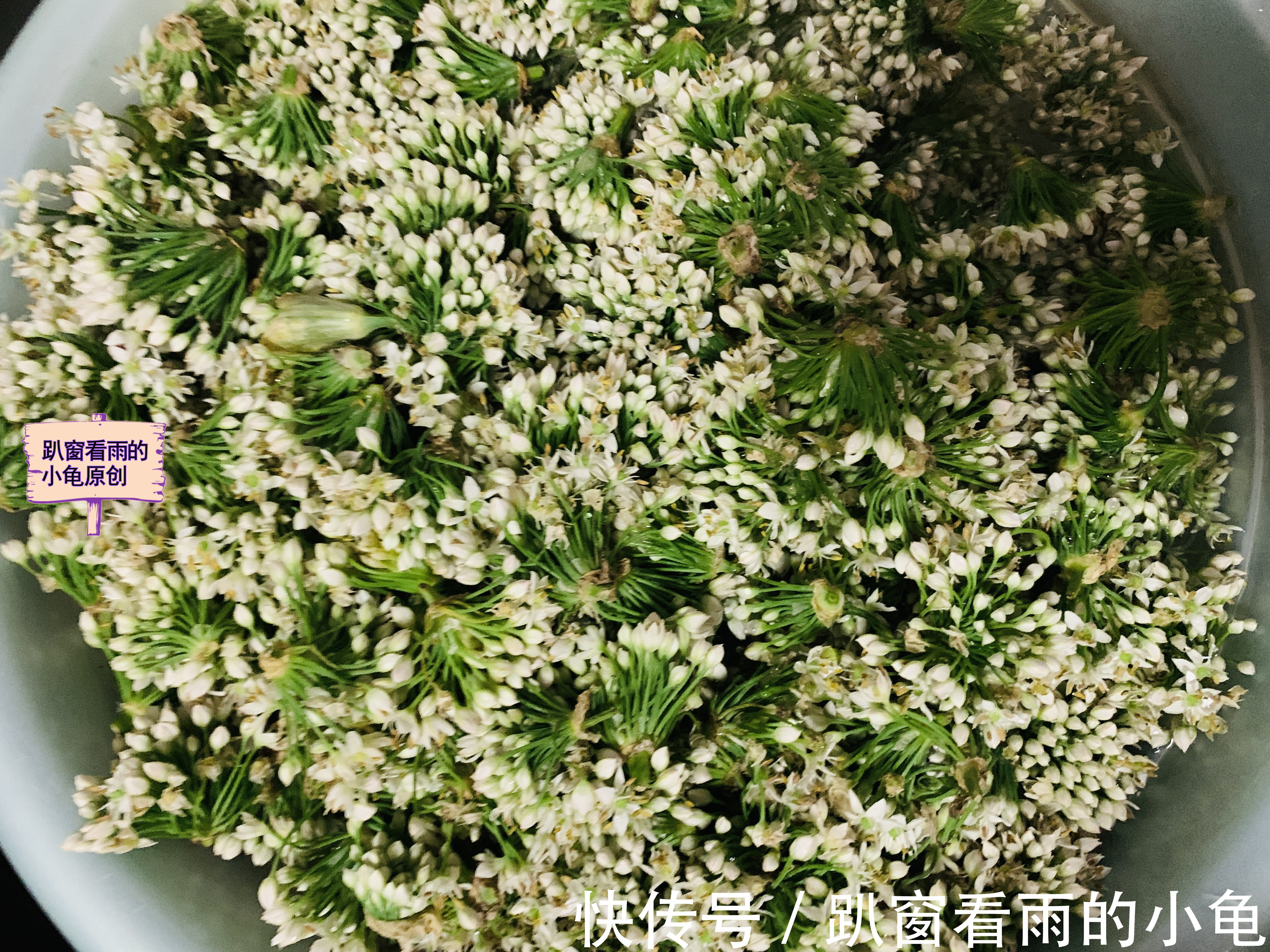 好吃|腌韭菜花,除了放盐,再加入它,韭菜花酱翠绿不变色,黏稠又好吃