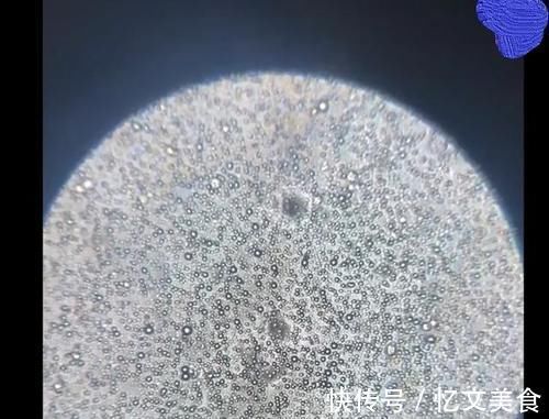 宝妈|母乳到底有多“神奇”?一个实验为你揭晓答案,你可别小瞧了它