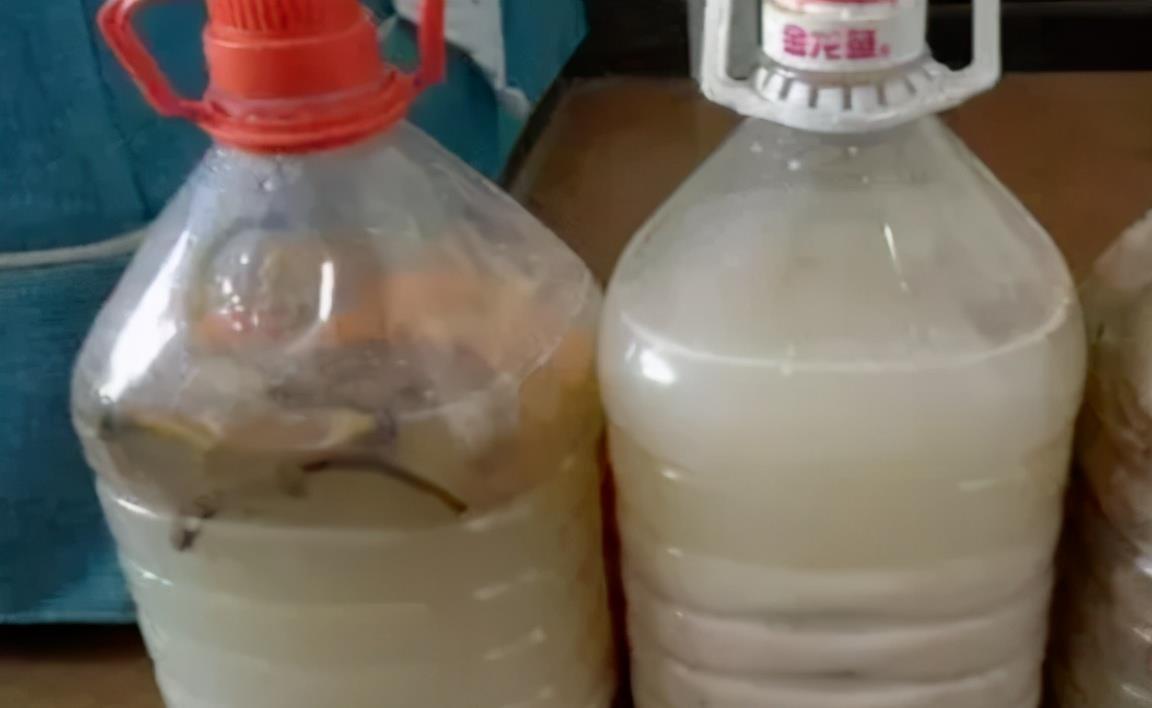 没有肥料养花,拿3样东西自制,操作简单,还能解决花钱问题