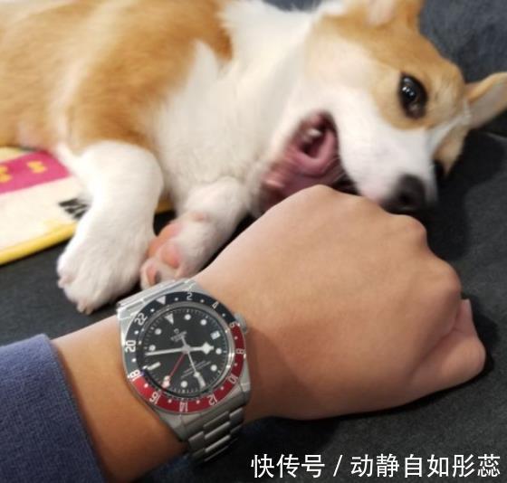 潜水表|月薪1万戴啥表?这三款戴起来皮实,牌子也不差