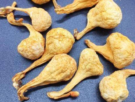 将其|一鸽胜九鸡,夏天比吃猪肉鸡肉好,汤鲜肉香,隔三差五吃特滋补