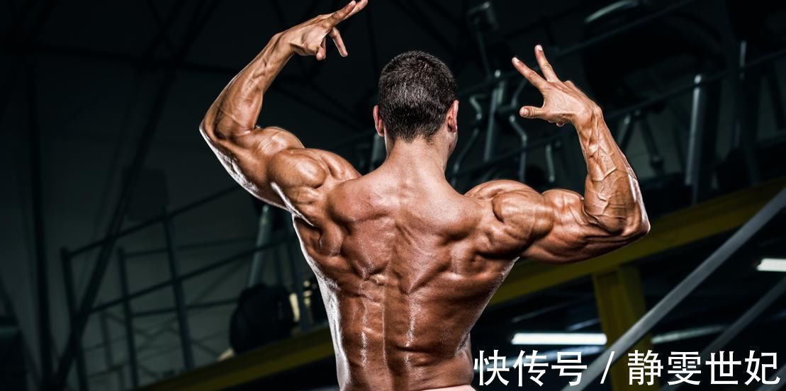 肩胛骨|分区域练背,把落后的部位练成优势,打造更强更壮的背部