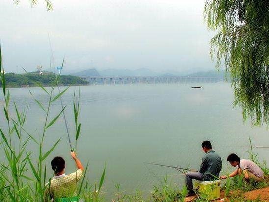 想要钓大鱼,就要记住这几个妙招,学会了你会有收获