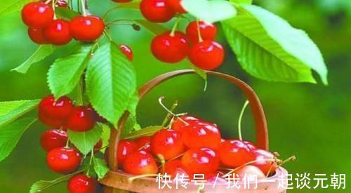 准妈妈|胎儿畸形,大多发生在这个时间段,度过了孕妈就安心待产吧