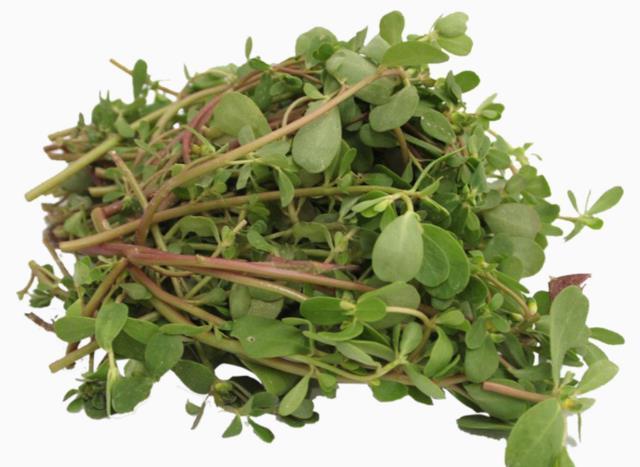 蕨菜|提醒：生活中常见的这5种野菜，尽量少吃，别再当成宝了