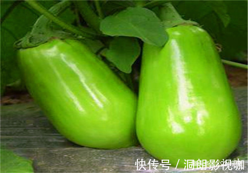 食物|秋天来了,多吃以下4种食物,延缓衰老,美容养颜,身体棒棒哒