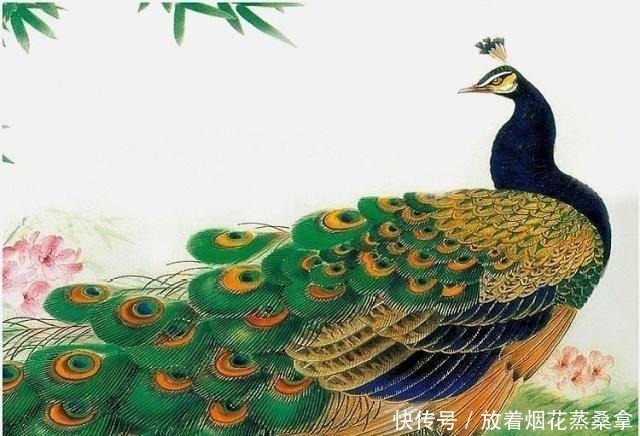 涨知识#古代“龙生九子,凤育九雏”,九雏分别指谁看完涨知识!