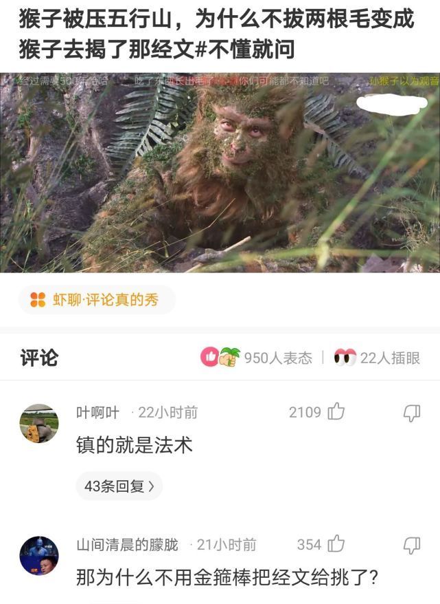 |搞笑神回复:开学了,分配到这个宿舍不知道好不好相处