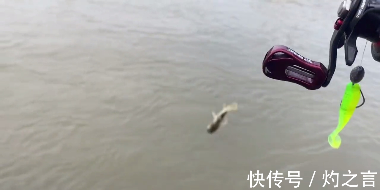 10分钟钓几十斤鳜鱼、翘嘴鱼？江西钓友晒渔获引热议