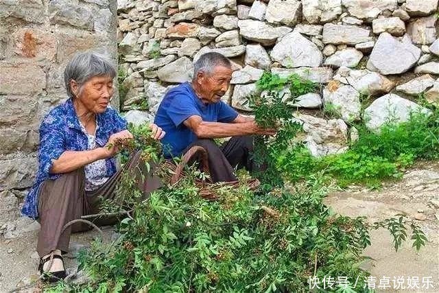 仅用1个月修建的悬崖村寨，历时500年，依旧美成世外桃源！