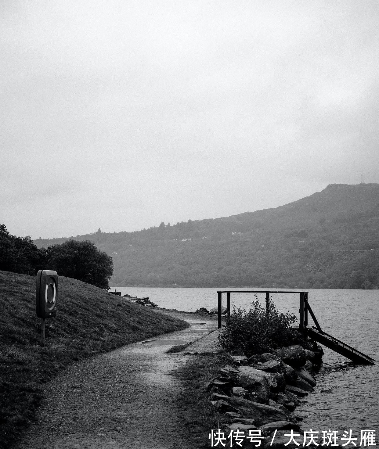 张九龄&王安石很经典的7首短诗,4首励志3首可爱,读来大有收获