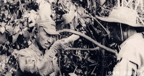击杀|最后一个投降的日本兵,丛林游击30年击杀130人,却拒见天皇?