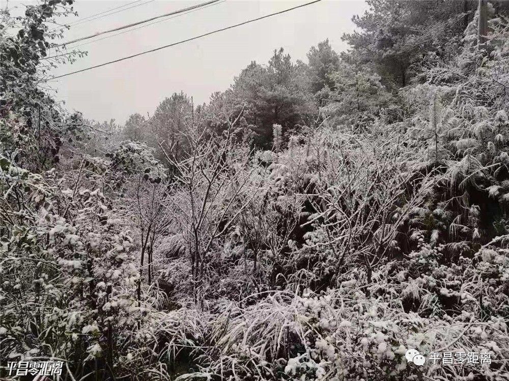 朋友圈|平昌下雪了，照片刷爆朋友圈！却带来了一个坏消息....