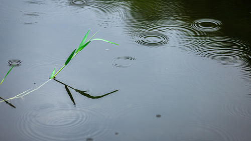 “惊蛰不下雨，暑后剥树皮”，惊蛰为何盼下雨？老农早有说法