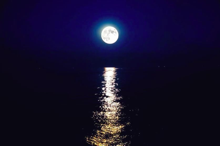 有情人|张九龄传诵千古的一首诗,只是开篇十字,便让人难以忘怀!